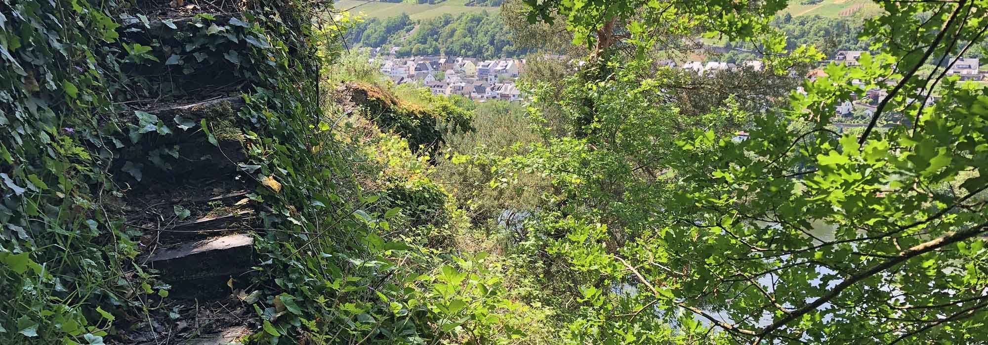 Briedel Mosel Uhusteig