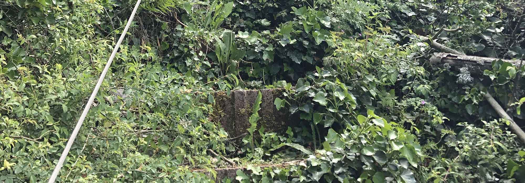 Briedel Mosel Uhusteig