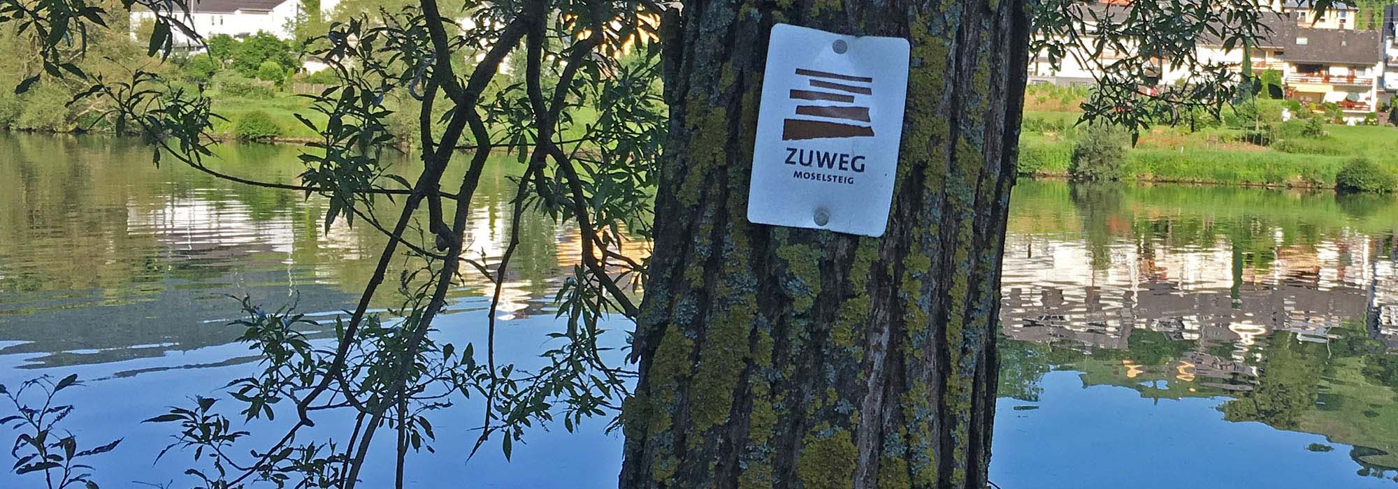 Wanderwege Moselsteig