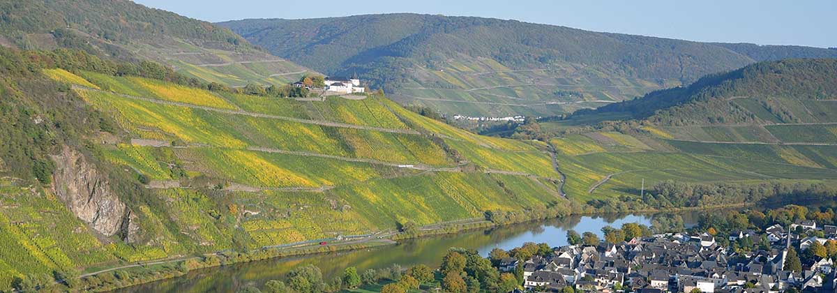 Marienburg Zeller Hamm Mosel